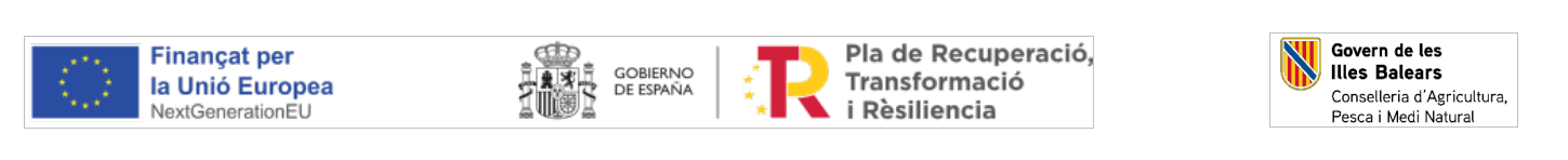 gobierno.png